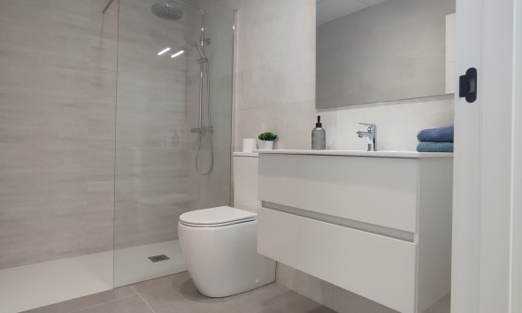 Nieuwbouw Woningen - Vrijstaande woning - Balsicas