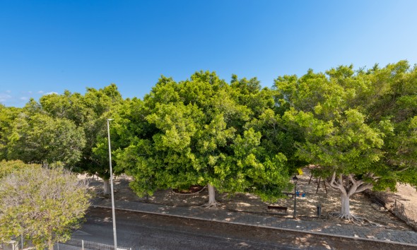 Nieuwbouw Woningen - Vrijstaande woning - Pilar de la Horadada