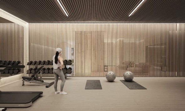 Nouvelle construction - Villa  - Pueblo Nuevo