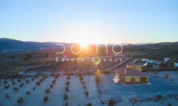 Long Term Rental - Villa / Semi-detached Villa - Tijola