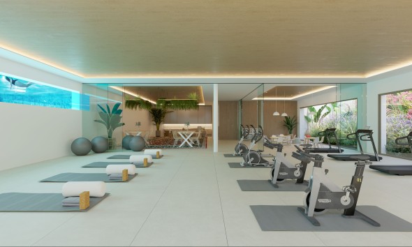 New Build - Penthouse - Casares Costa