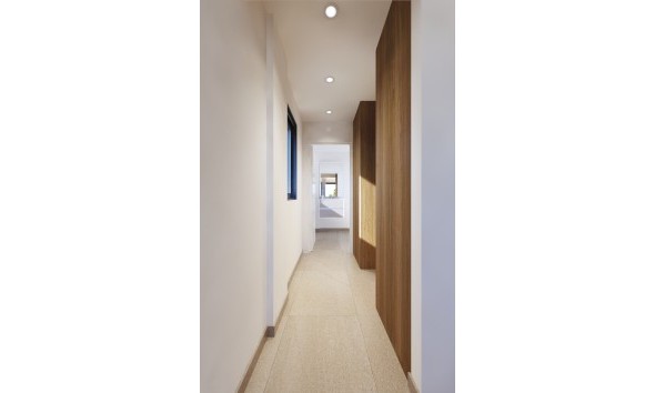 Nouvelle construction - Maison individuelle - San Miguel de Salinas