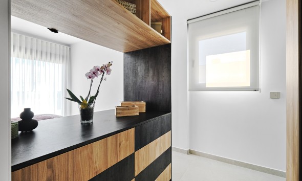 Nouvelle construction - Maison individuelle - San Miguel de Salinas