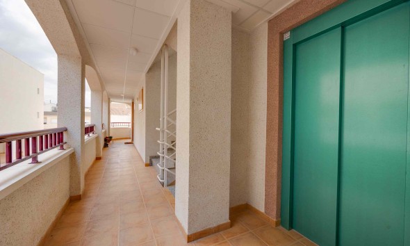 New Build - Apartment / flat - San Fulgencio