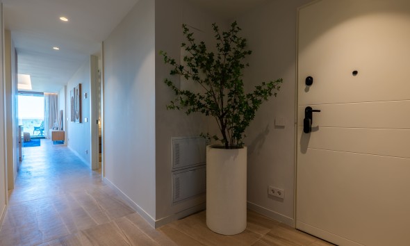 Nieuwbouw Woningen - Appartement / flat - Guardamar del Segura
