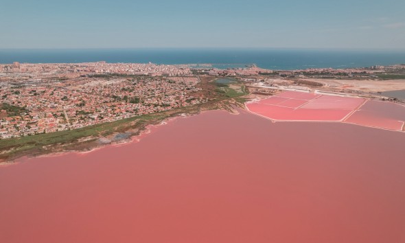 Obra nueva - Bungalow bajo - Torrevieja