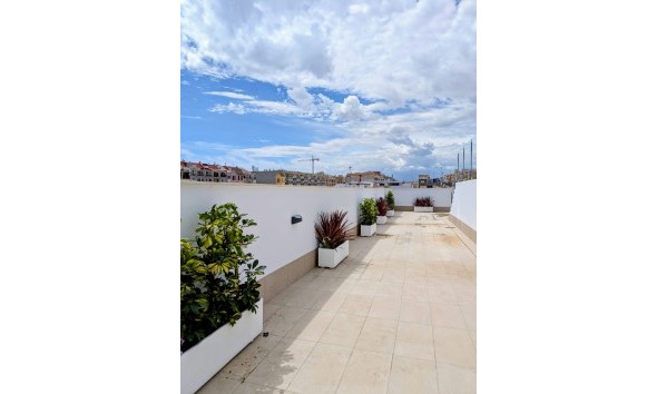 New Build - Apartment / flat - Torrevieja