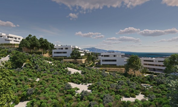 Neue Gebäude - Penthouse - Casares