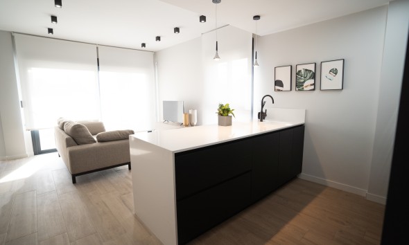 Obra nueva - terraced - Torrevieja