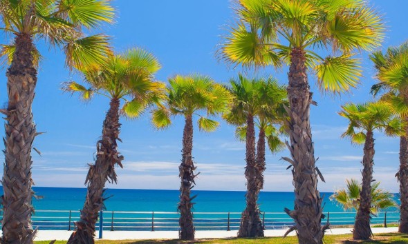 Nieuwbouw Woningen - Appartement / flat - Cabo Roig