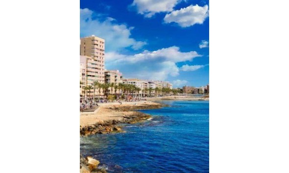 Obra nueva - Ático - Torrevieja