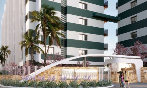 Obra nueva - Ático - Torrevieja
