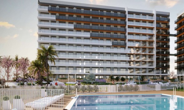 Obra nueva - Ático - Torrevieja