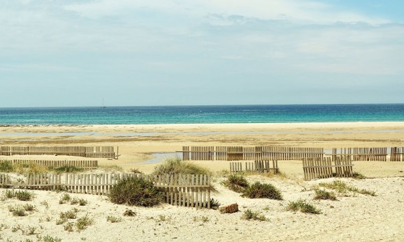 New Build - Apartment / flat - La Manga
