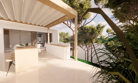 Nouvelle construction - Maison individuelle - Pilar de la Horadada