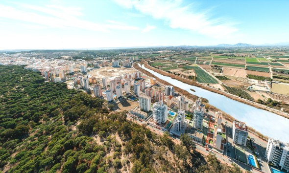 Nouvelle construction - Rez-de-chaussée - Guardamar del Segura