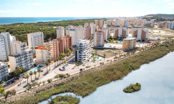 Nouvelle construction - Rez-de-chaussée - Guardamar del Segura