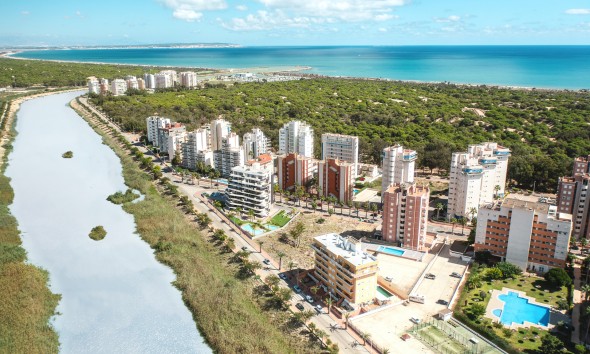 Nouvelle construction - Rez-de-chaussée - Guardamar del Segura