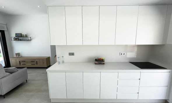 Nouvelle construction - Maison individuelle - Pinar de Campoverde