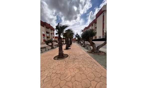 Nouvelle construction - Rez-de-chaussée - Orihuela Costa