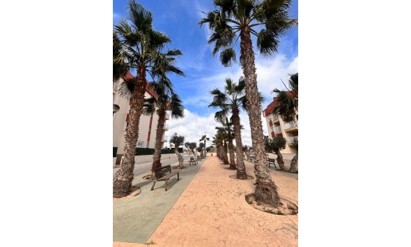 Nouvelle construction - Rez-de-chaussée - Orihuela Costa