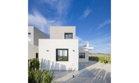 Neue Gebäude - terraced - Murcia