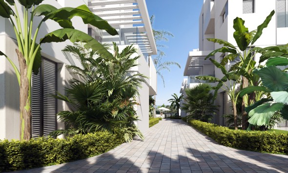 Obra nueva - Planta baja - Torre-Pacheco
