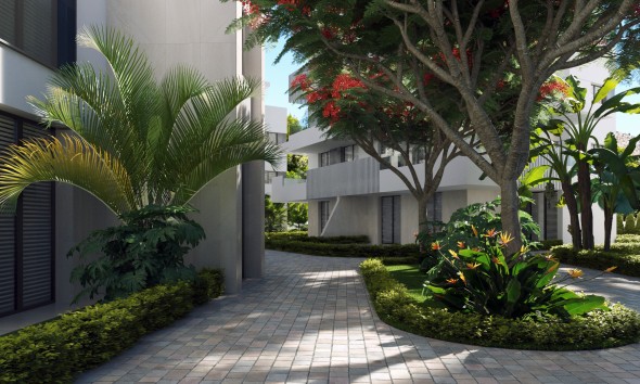 Obra nueva - Planta baja - Torre-Pacheco