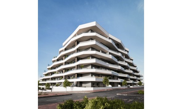 Obra nueva - Planta baja - San Miguel de Salinas