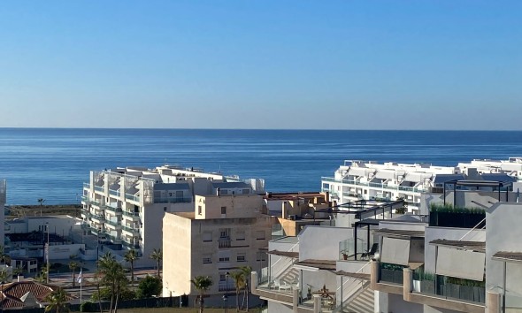 Obra nueva - Planta baja - Torrox