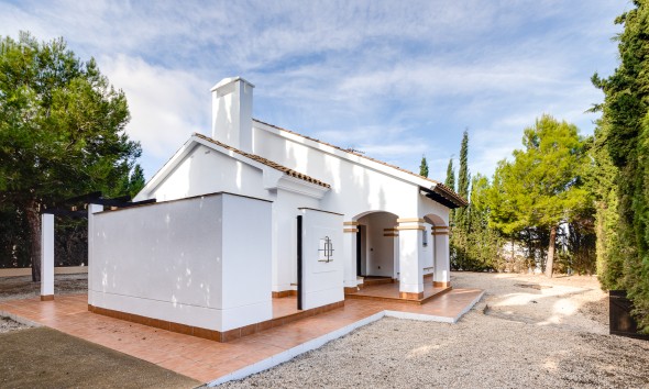 Nouvelle construction - Maison individuelle - Fuente Alamo