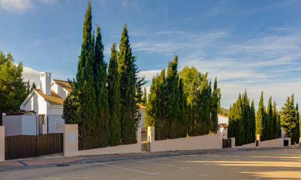 New Build - Detached - Fuente Alamo