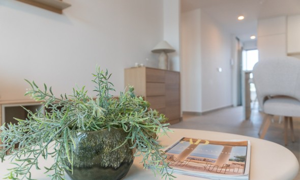 New Build - Ground-floor - Playa Flamenca