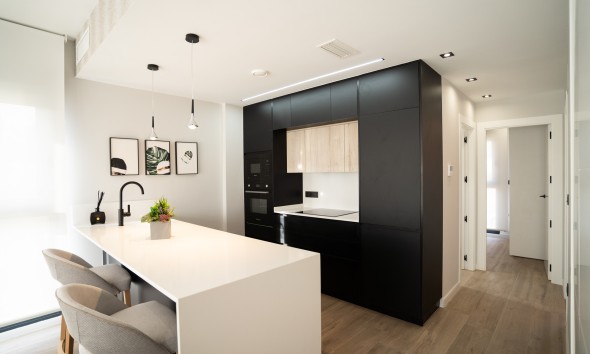 Obra nueva - terraced - Torrevieja