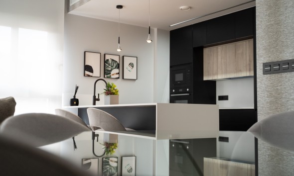 Obra nueva - terraced - Torrevieja