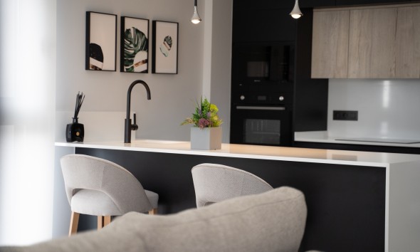 Obra nueva - terraced - Torrevieja