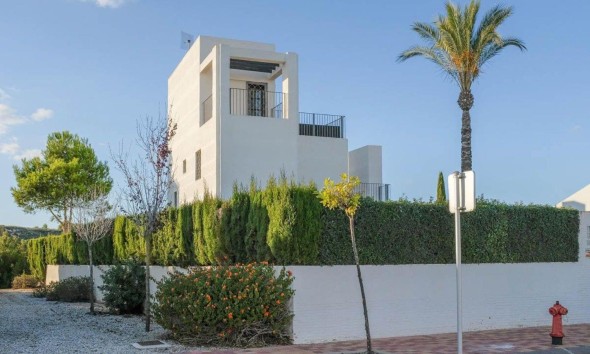 Obra nueva - Unifamiliar - Murcia