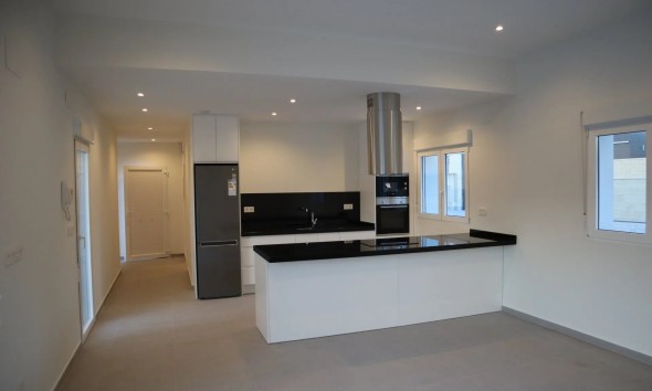 Obra nueva - Unifamiliar - la Romana