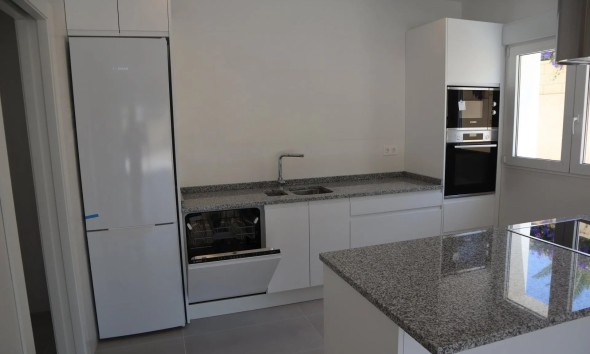 Obra nueva - Unifamiliar - la Romana