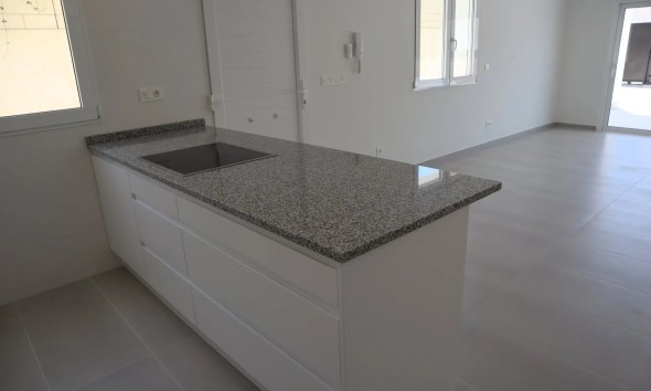 Obra nueva - Unifamiliar - la Romana