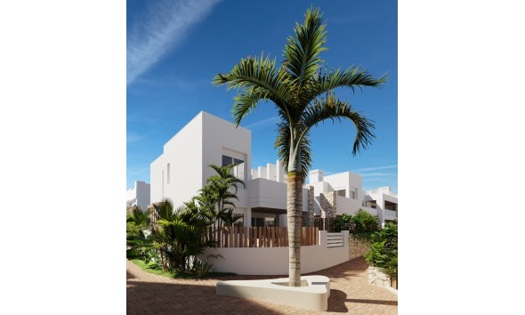 Nouvelle construction - Maison individuelle - San Juan de los Terreros